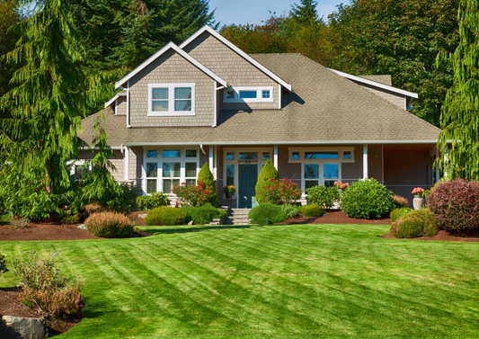The Guide to Late-Summer Lawn Revitalization and Pre-Emergent Strategies