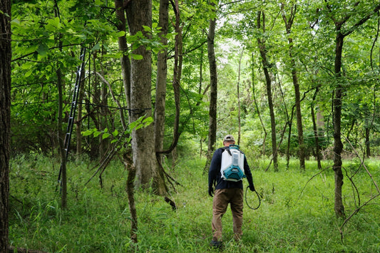 How Can You Make Weed Control Easy? A Simple Spraying Guide for Homeowners