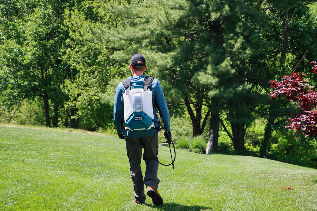 The Easiest Way to Get Your Yard Ready for Summer (No Pumping Required)