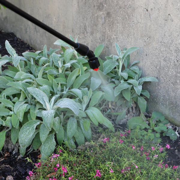 Red fan nozzle watering a garden with plants and flowers against a concrete wall.